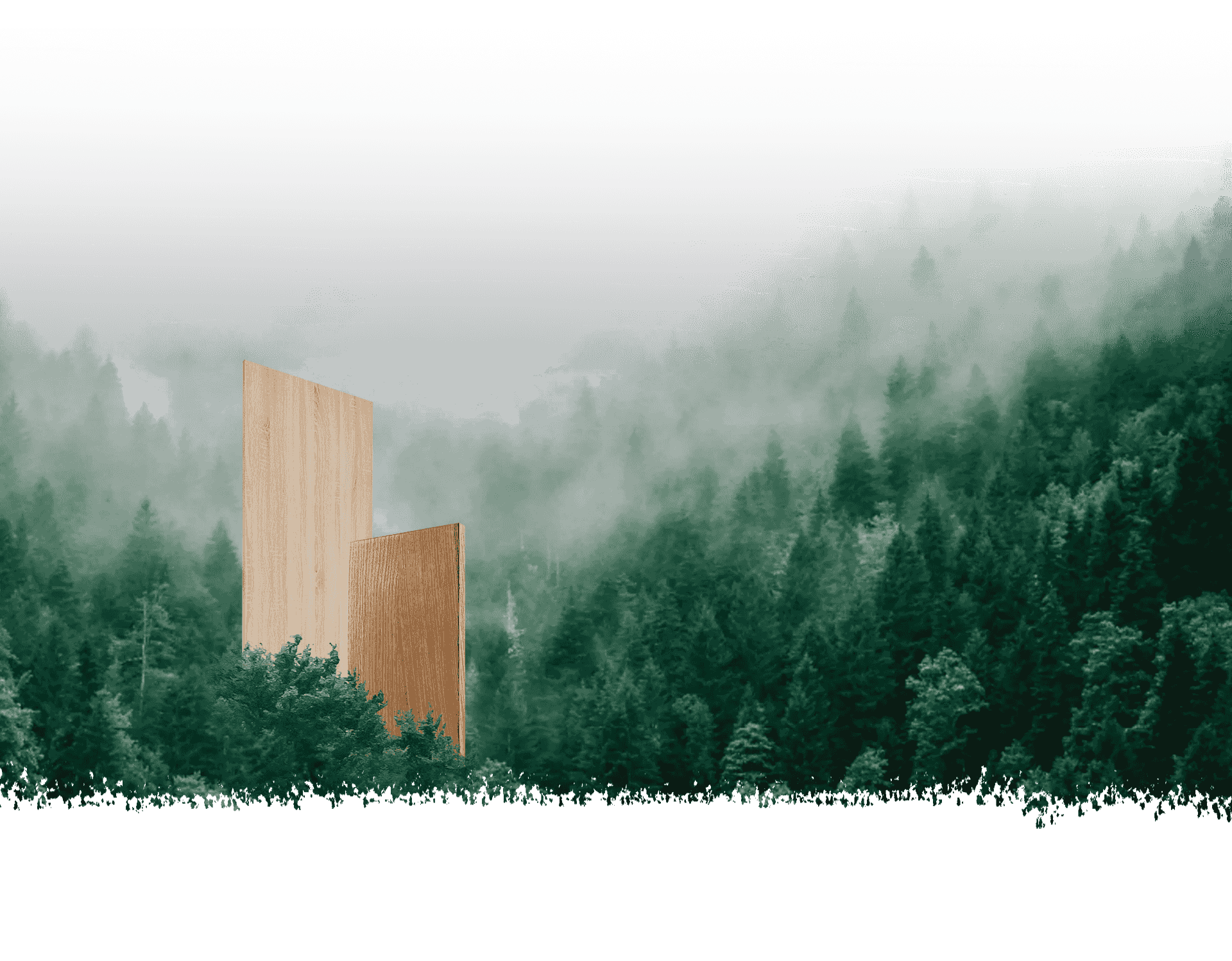 Suzhou Dicosbo Wood Co,. Ltd.